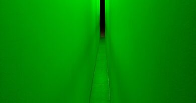 BRUCE NAUMAN Neons Corridors Rooms